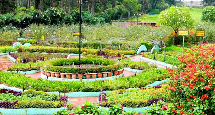 Tamil Nadu – Kodaikanal 2 Nights / 3 Days Package